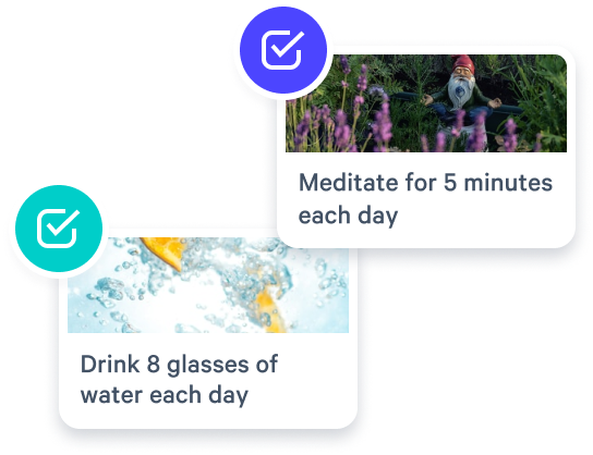 custom activities modules that include drinking 8 glasses of water and meditating for 5 min each day